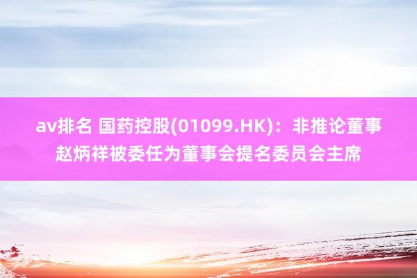 av排名 国药控股(01099.HK)：非推论董事赵炳祥被委任为董事会提名委员会主席