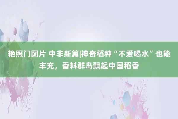 艳照门图片 中非新篇|神奇稻种“不爱喝水”也能丰充，香料群岛飘起中国稻香