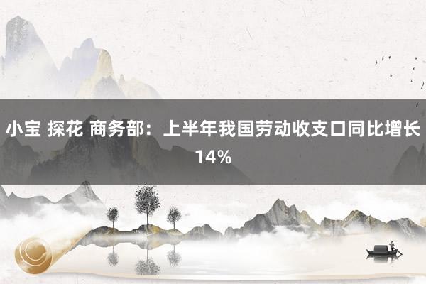 小宝 探花 商务部：上半年我国劳动收支口同比增长14%