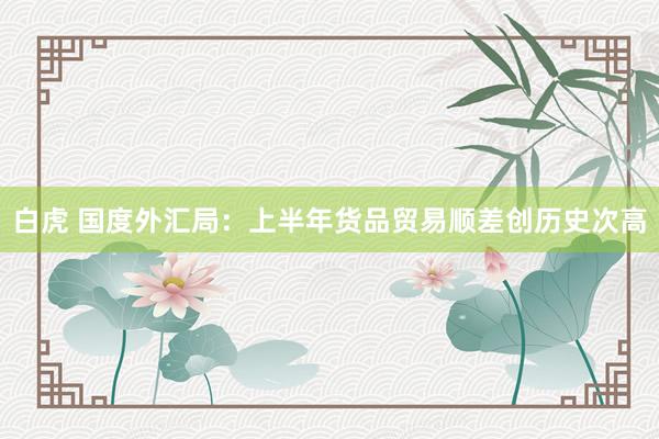 白虎 国度外汇局：上半年货品贸易顺差创历史次高