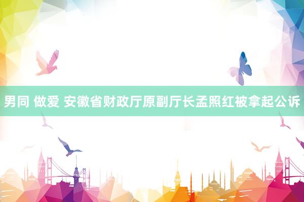 男同 做爱 安徽省财政厅原副厅长孟照红被拿起公诉