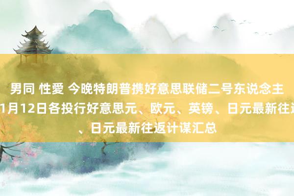 男同 性愛 今晚特朗普携好意思联储二号东说念主物登场！11月12日各投行好意思元、欧元、英镑、日元最新往返计谋汇总