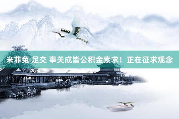 米菲兔 足交 事关成皆公积金索求！正在征求观念