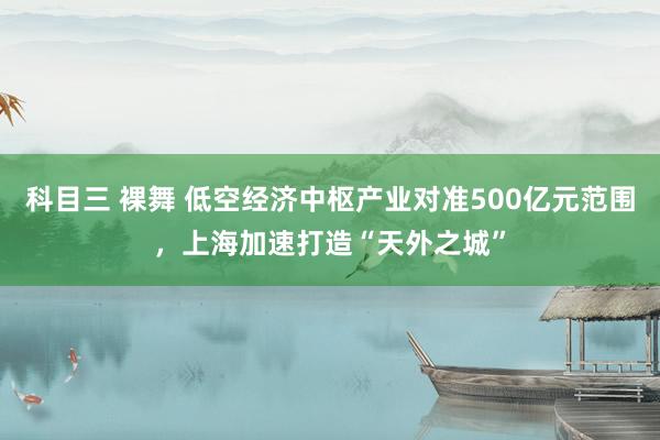 科目三 裸舞 低空经济中枢产业对准500亿元范围，上海加速打造“天外之城”