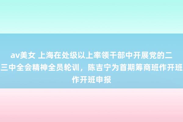av美女 上海在处级以上率领干部中开展党的二十届三中全会精神全员轮训，陈吉宁为首期筹商班作开班申报