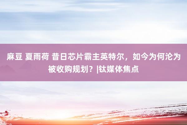麻豆 夏雨荷 昔日芯片霸主英特尔，如今为何沦为被收购规划？|钛媒体焦点