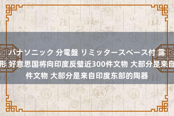 パナソニック 分電盤 リミッタースペース付 露出・半埋込両用形 好意思国将向印度反璧近300件文物 大部分是来自印度东部的陶器