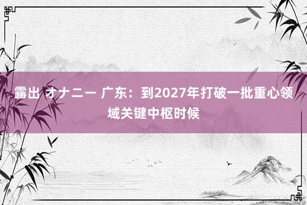 露出 オナニー 广东：到2027年打破一批重心领域关键中枢时候
