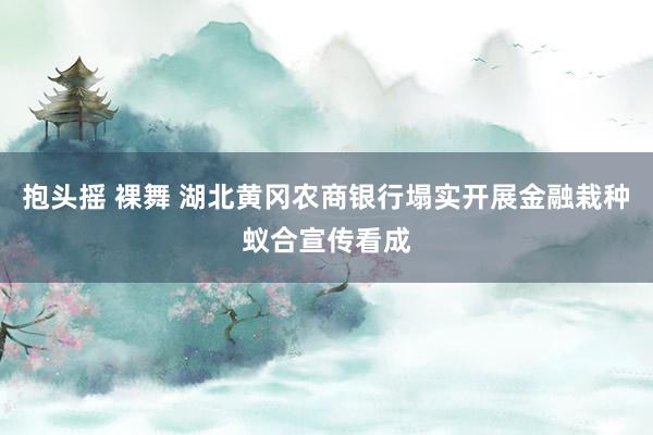 抱头摇 裸舞 湖北黄冈农商银行塌实开展金融栽种蚁合宣传看成