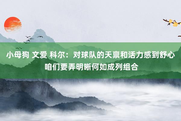 小母狗 文爱 科尔：对球队的天禀和活力感到舒心 咱们要弄明晰何如成列组合