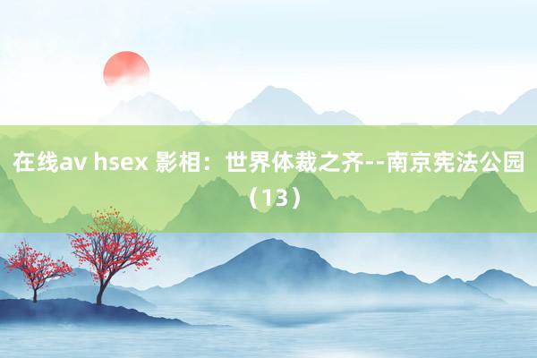 在线av hsex 影相：世界体裁之齐--南京宪法公园（13）