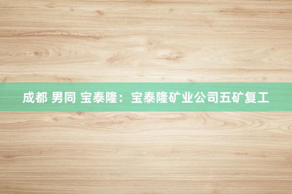 成都 男同 宝泰隆：宝泰隆矿业公司五矿复工