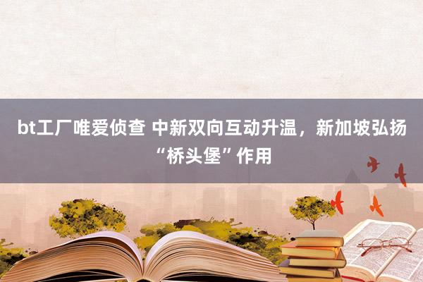 bt工厂唯爱侦查 中新双向互动升温，新加坡弘扬“桥头堡”作用