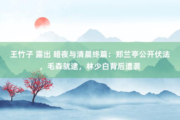 王竹子 露出 暗夜与清晨终篇：郑兰亭公开伏法，毛森就逮，林少白背后遭袭
