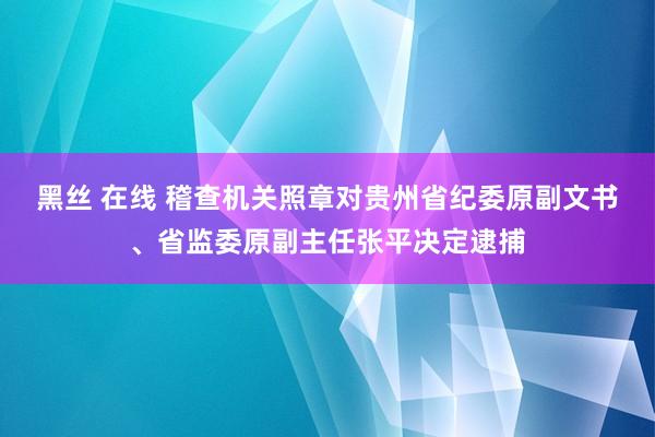 黑丝 在线 稽查机关照章对贵州省纪委原副文书、省监委原副主任张平决定逮捕