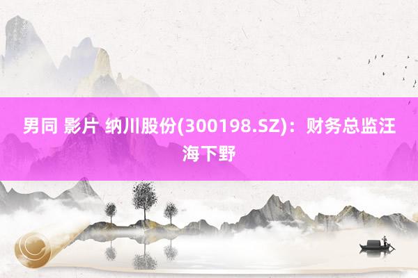 男同 影片 纳川股份(300198.SZ):财务总监汪海下野