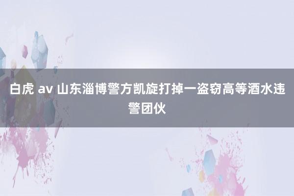 白虎 av 山东淄博警方凯旋打掉一盗窃高等酒水违警团伙