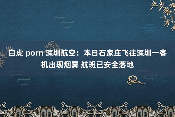 白虎 porn 深圳航空：本日石家庄飞往深圳一客机出现烟雾 航班已安全落地