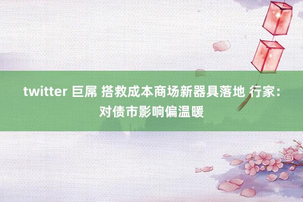 twitter 巨屌 搭救成本商场新器具落地 行家：对债市影响偏温暖