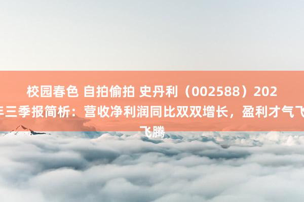 校园春色 自拍偷拍 史丹利（002588）2024年三季报简析：营收净利润同比双双增长，盈利才气飞腾