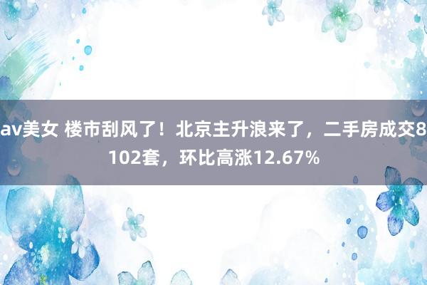 av美女 楼市刮风了！北京主升浪来了，二手房成交8102套，环比高涨12.67%