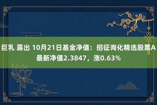 巨乳 露出 10月21日基金净值：招征询化精选股票A最新净值2.3847，涨0.63%