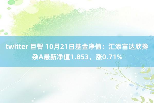 twitter 巨臀 10月21日基金净值：汇添富达欣搀杂A最新净值1.853，涨0.71%