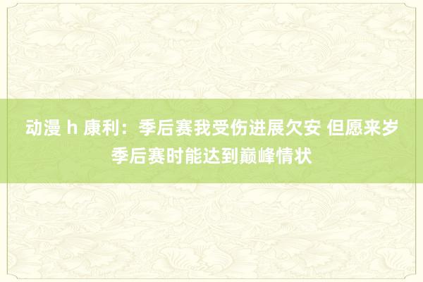 动漫 h 康利：季后赛我受伤进展欠安 但愿来岁季后赛时能达到巅峰情状
