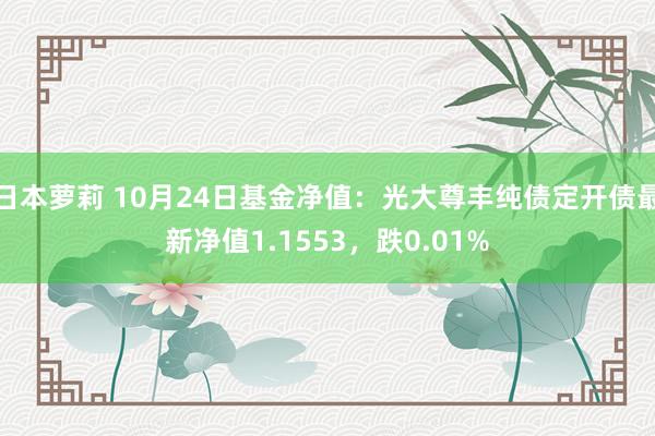 日本萝莉 10月24日基金净值：光大尊丰纯债定开债最新净值1.1553，跌0.01%