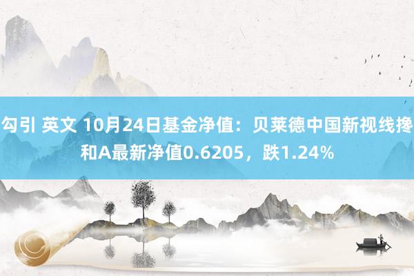 勾引 英文 10月24日基金净值：贝莱德中国新视线搀和A最新净值0.6205，跌1.24%