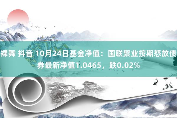 裸舞 抖音 10月24日基金净值：国联聚业按期怒放债券最新净值1.0465，跌0.02%