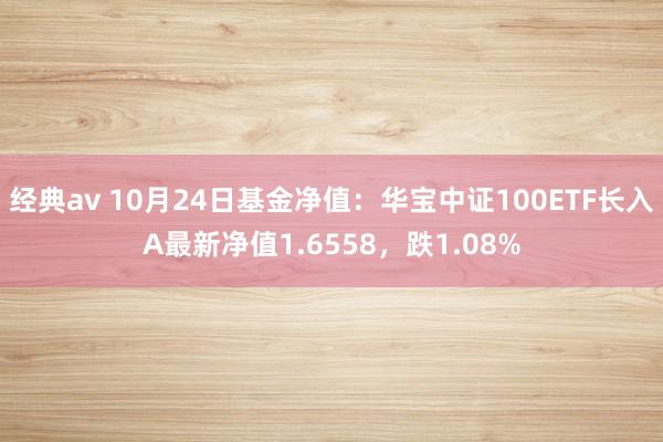 经典av 10月24日基金净值：华宝中证100ETF长入A最新净值1.6558，跌1.08%