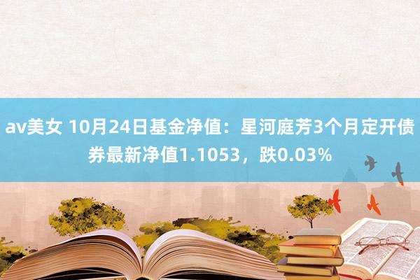 av美女 10月24日基金净值：星河庭芳3个月定开债券最新净值1.1053，跌0.03%