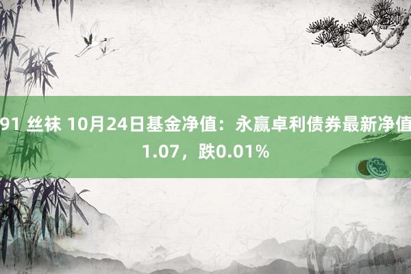 91 丝袜 10月24日基金净值：永赢卓利债券最新净值1.07，跌0.01%