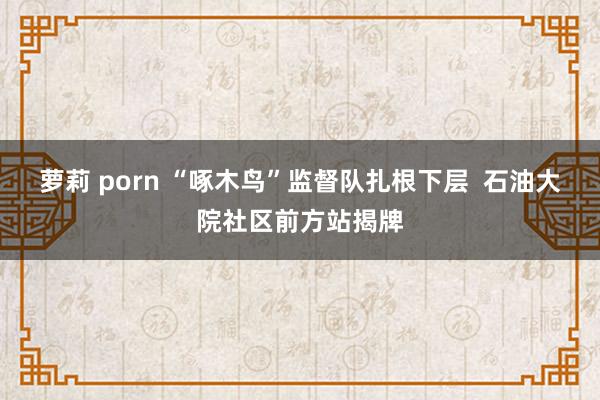 萝莉 porn “啄木鸟”监督队扎根下层  石油大院社区前方站揭牌