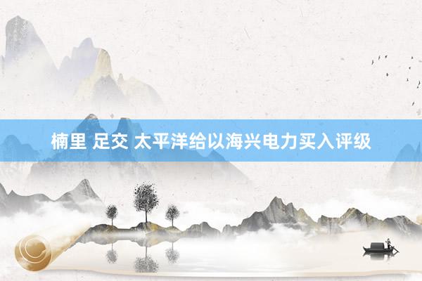 楠里 足交 太平洋给以海兴电力买入评级