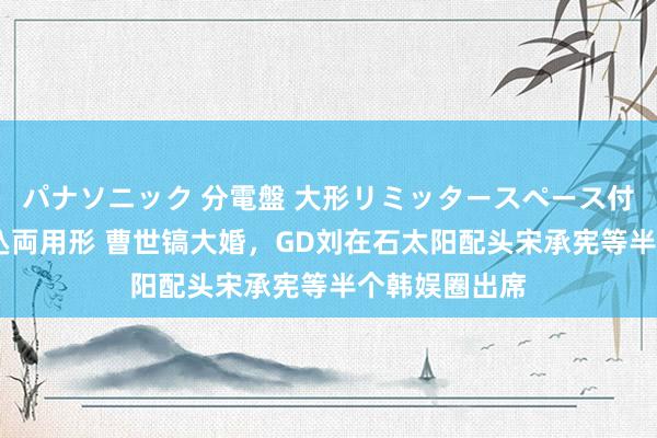 パナソニック 分電盤 大形リミッタースペース付 露出・半埋込両用形 曹世镐大婚，GD刘在石太阳配头宋承宪等半个韩娱圈出席