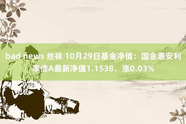 bad news 丝袜 10月29日基金净值：国金惠安利率债A最新净值1.1538，涨0.03%