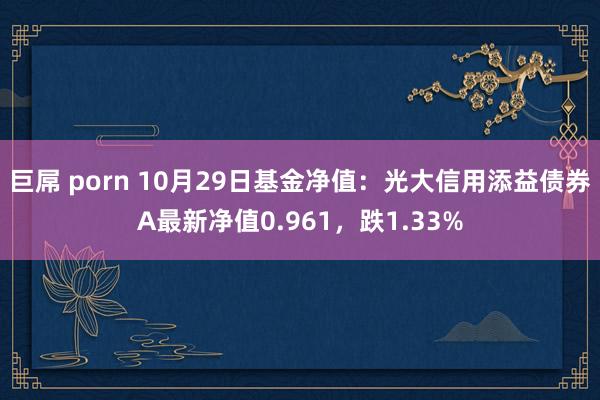 巨屌 porn 10月29日基金净值：光大信用添益债券A最新净值0.961，跌1.33%