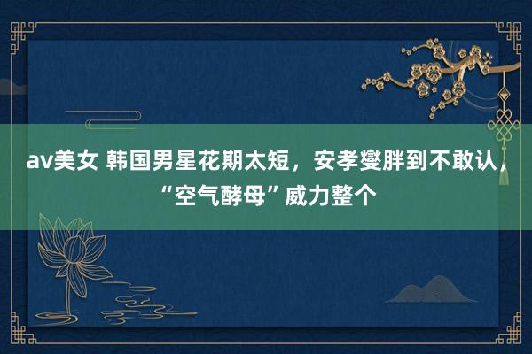 av美女 韩国男星花期太短，安孝燮胖到不敢认，“空气酵母”威力整个