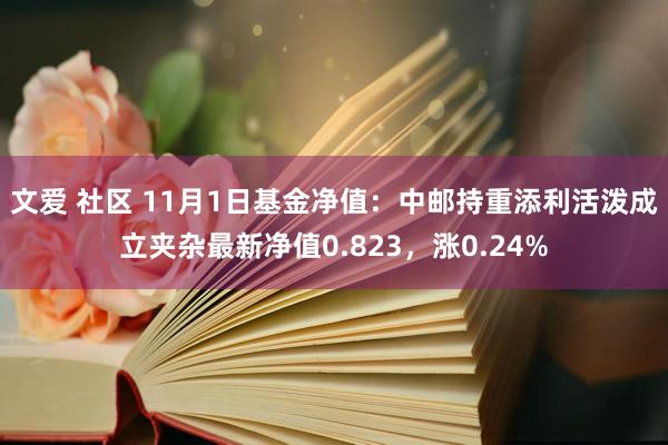 文爱 社区 11月1日基金净值：中邮持重添利活泼成立夹杂最新净值0.823，涨0.24%