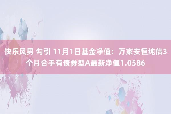 快乐风男 勾引 11月1日基金净值：万家安恒纯债3个月合手有债券型A最新净值1.0586