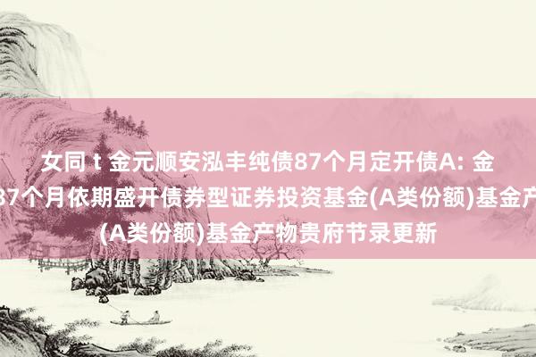 女同 t 金元顺安泓丰纯债87个月定开债A: 金元顺安泓丰纯债87个月依期盛开债券型证券投资基金(A类份额)基金产物贵府节录更新