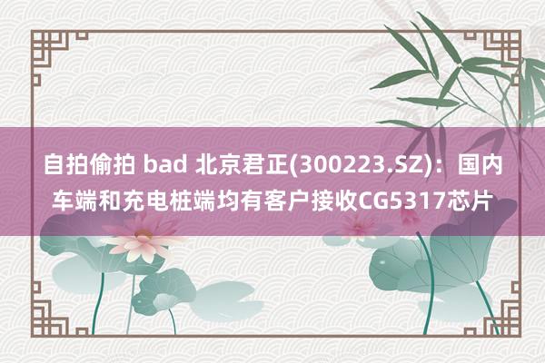 自拍偷拍 bad 北京君正(300223.SZ)：国内车端和充电桩端均有客户接收CG5317芯片