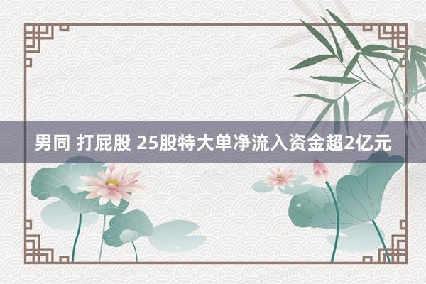 男同 打屁股 25股特大单净流入资金超2亿元