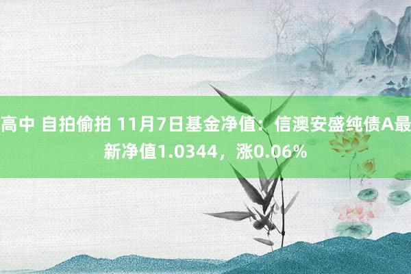 高中 自拍偷拍 11月7日基金净值：信澳安盛纯债A最新净值1.0344，涨0.06%