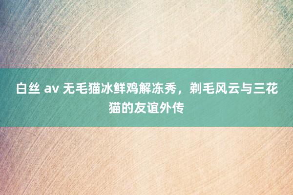 白丝 av 无毛猫冰鲜鸡解冻秀，剃毛风云与三花猫的友谊外传