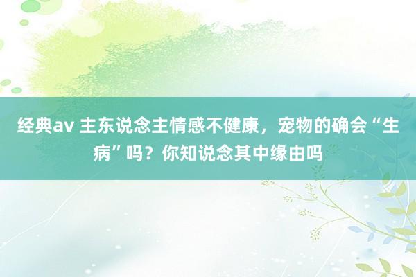 经典av 主东说念主情感不健康，宠物的确会“生病”吗？你知说念其中缘由吗