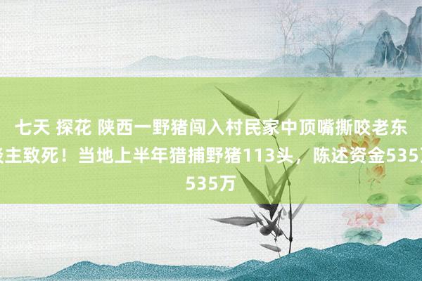 七天 探花 陕西一野猪闯入村民家中顶嘴撕咬老东谈主致死！当地上半年猎捕野猪113头，陈述资金535万