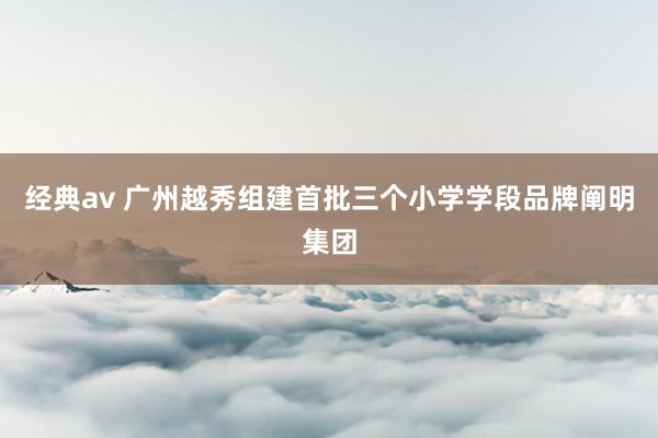 经典av 广州越秀组建首批三个小学学段品牌阐明集团